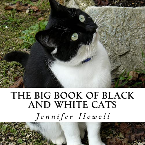 9781548591601: The Big Book of Black and White Cats: A text-free book for Seniors and Alzheimer's patients