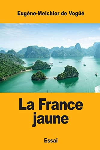 Stock image for La France jaune (French Edition) for sale by Lucky's Textbooks
