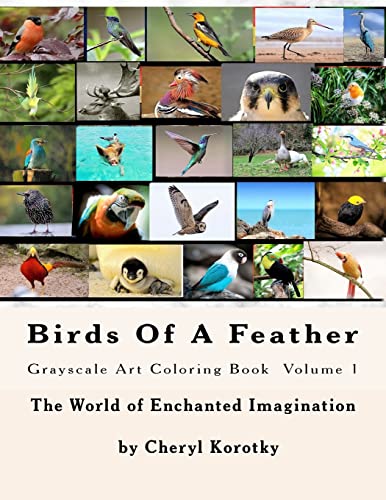 Stock image for Birds Of A Feather: Grayscale Art Coloring Book for sale by Save With Sam