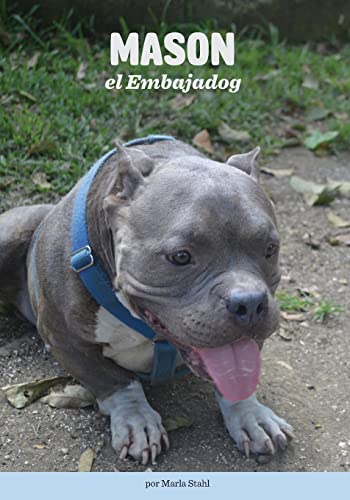 Stock image for Mason el Embajadog (Spanish Edition) for sale by Lucky's Textbooks