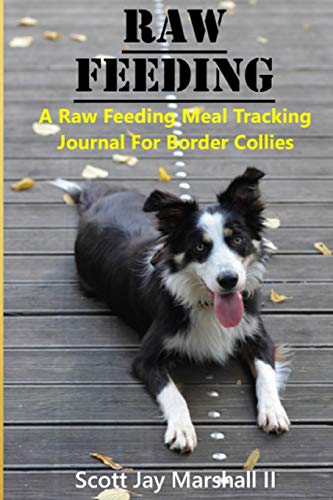 9781548966751: Border Collie Raw Feeding Meal Tracking Journal: A Raw Feeding Meal Tracking Journal For Border Collies (Raw Feeding Meal Tracking Journals)