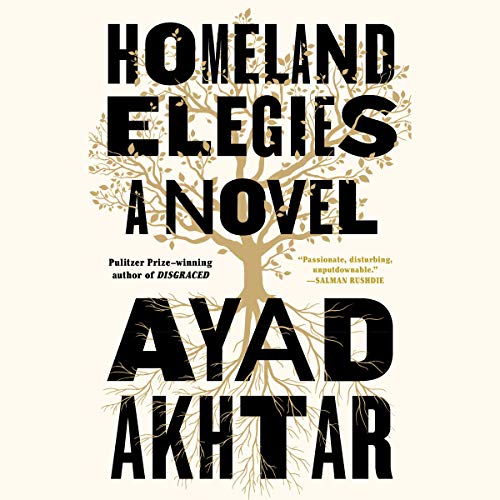 Imagen de archivo de Homeland Elegies: A Novel a la venta por SecondSale