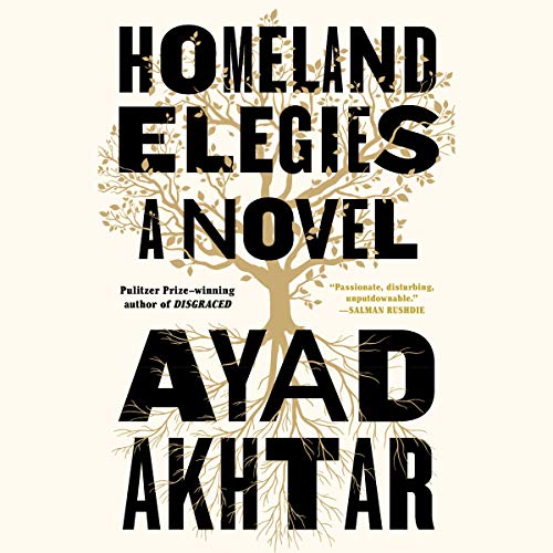 9781549107207: Homeland Elegies: A Novel