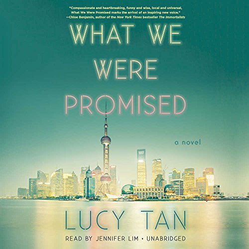 9781549144653: What We Were Promised