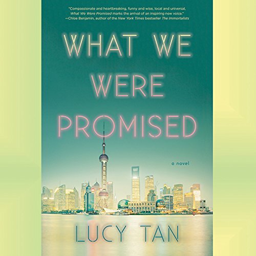 9781549144677: What We Were Promised: Library Edition