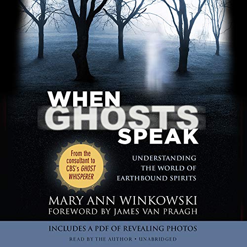 Stock image for When Ghosts Speak: Understanding the World of Earthbound Spirits for sale by True Oak Books