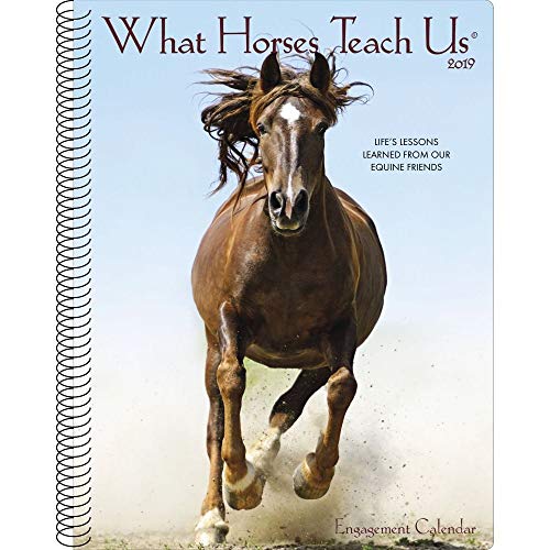 Stock image for What Horses Teach Us 2019 Engagement Calendar for sale by TextbookRush