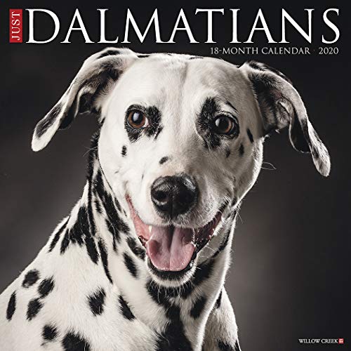 9781549206153: Just Dalmatians 2020 Calendar