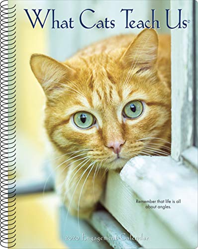 Beispielbild fr What Cats Teach Us 2020 Engagement Calendar zum Verkauf von GF Books, Inc.