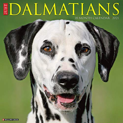 9781549211522: Just Dalmatians 2021 Wall Calendar (Dog Breed Calendar)