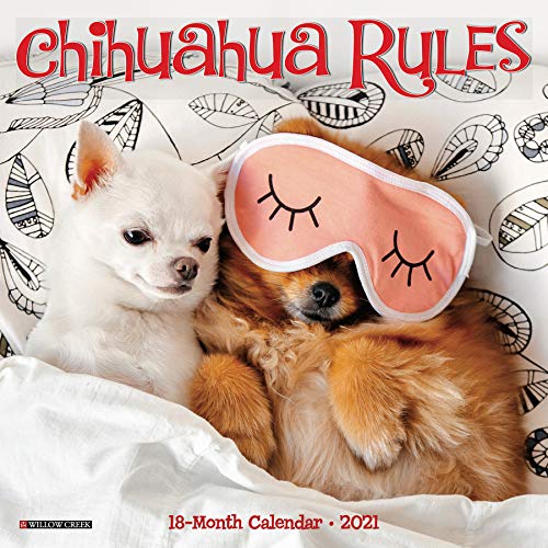 9781549214004: Chihuahua Rules 2021 Calendar