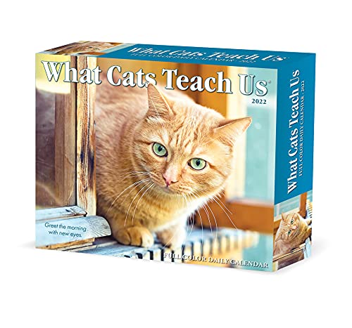 Beispielbild fr What Cats Teach Us 2022 Box Calendar, Daily Desktop zum Verkauf von GF Books, Inc.