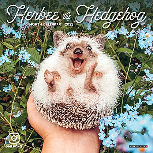 Beispielbild fr Herbee the Hedgehog 2022 Mini Wall Calendar zum Verkauf von WorldofBooks