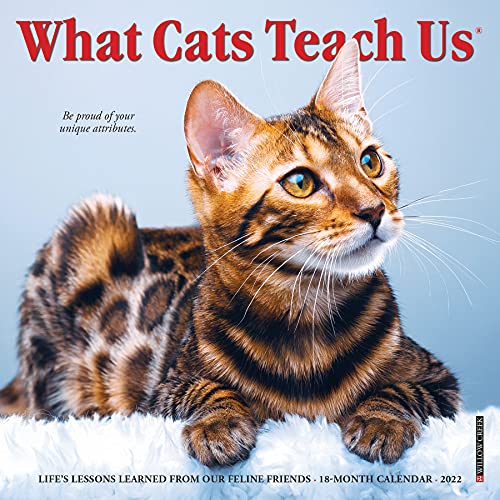 Beispielbild fr What Cats Teach Us 2022 Mini Wall Calendar zum Verkauf von GF Books, Inc.