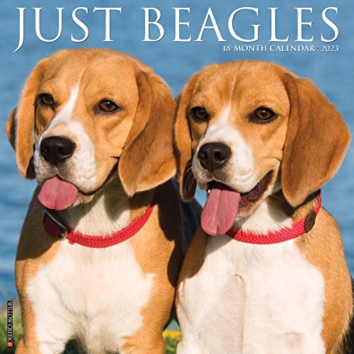9781549224782: Just Beagles 2023 Wall Calendar