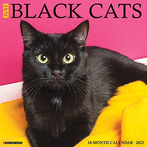 Just Black Cats 2023 Wall Calendar