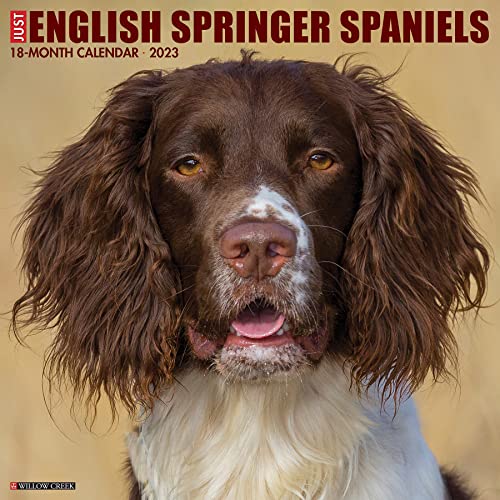 Beispielbild fr Just English Springer Spaniels 2023 Wall Calendar zum Verkauf von GF Books, Inc.