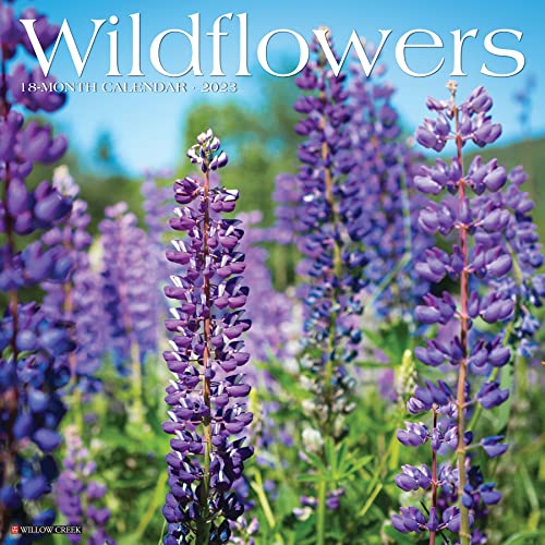 9781549228254: Wildflowers 2023 Wall Calendar
