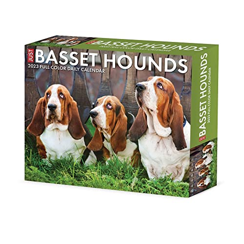 Basset Hounds 2023 Calendar