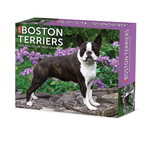 Beispielbild fr Boston Terriers 2023 Box Calendar zum Verkauf von WorldofBooks