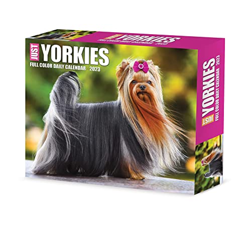 

Yorkies 2023 Box Calendar