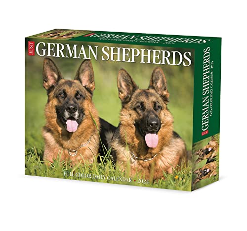 German Shepherds 2024 Calendar