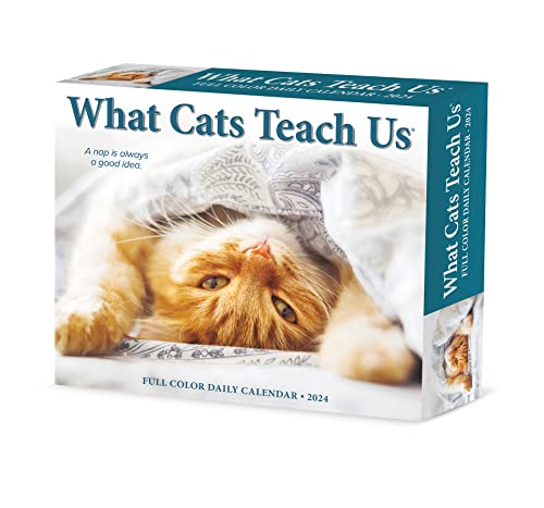 Beispielbild fr What Cats Teach Us 2024 6.2 X 5.4 Box Calendar zum Verkauf von Grand Eagle Retail