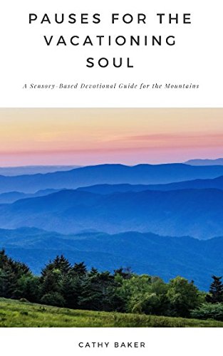 Stock image for Pauses for the Vacationing Soul: A Sensory-Based Devotional Guide for the Mountains for sale by SecondSale