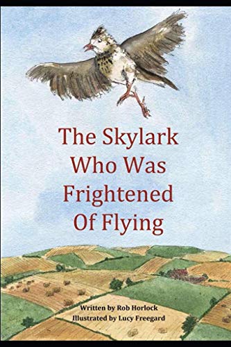 Stock image for The Skylark Who Was Frightened of Flying (Creature Teachers - early readers) for sale by Revaluation Books