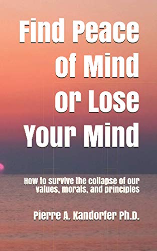 Imagen de archivo de Find Peace of Mind or Lose Your Mind: How to survive the collapse of our values, morals and principles (American Dream Series) a la venta por Lucky's Textbooks