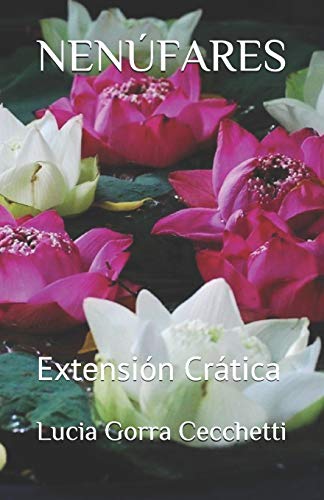 9781549790270: NENFARES: Extensin Crtica (Spanish Edition)