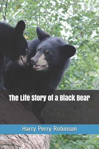 Beispielbild fr The Life Story of a Black Bear zum Verkauf von Revaluation Books