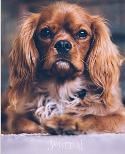 Stock image for Journal: Cavalier King Charles Spaniel (Cavalier King Charles Spaniel Collection) for sale by Revaluation Books