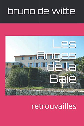 Stock image for Les Anges de la Baie: retrouvailles for sale by Revaluation Books