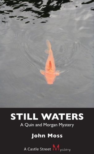 Stock image for Still Waters: A Quin and Morgan Mystery for sale by HPB-Ruby