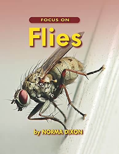 Focus on Flies (Up Close With Animals) (9781550051292) by Dixon, Norma