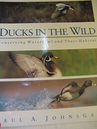 Beispielbild fr Ducks in the Wild: Conserving Waterfowl and Their Habitats zum Verkauf von HPB-Emerald