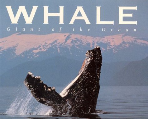 9781550136609: Whales: Giant Of The Ocean