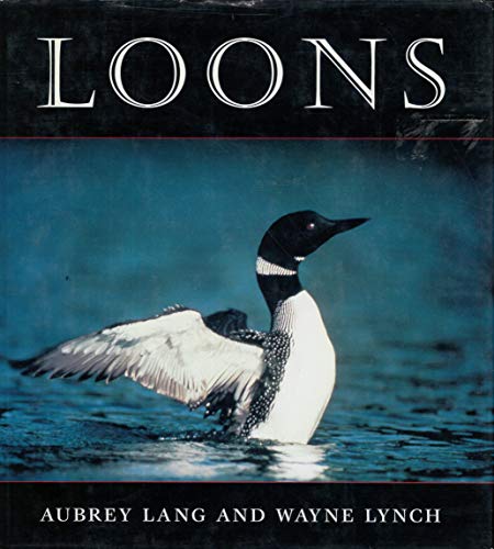 Stock image for Loons for sale by Booked Experiences Bookstore