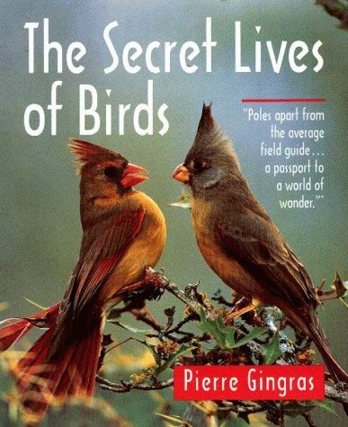 Beispielbild fr The Secret Lives Of Birds zum Verkauf von Foxtrot Books