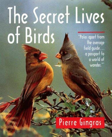 Stock image for The Secret Lives of Birds for sale by Wonder Book