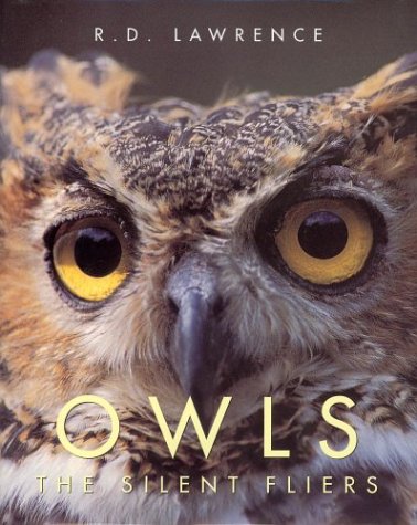 Beispielbild fr Silent Flyer: Owls zum Verkauf von SecondSale