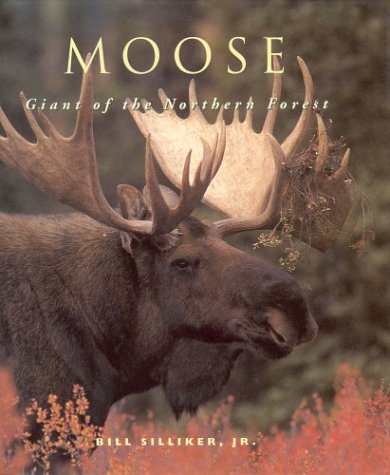 Beispielbild fr Moose: Giant Of The Northern Forest zum Verkauf von HPB-Emerald