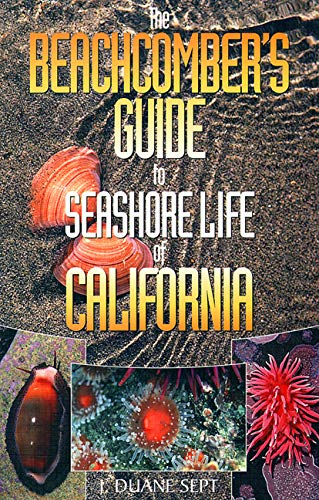 Stock image for The Beachcombers Guide to Seashore Life of California for sale by Goodwill Books