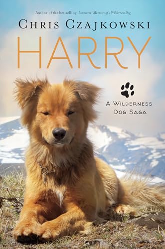 Imagen de archivo de Harry: A Wilderness Dog Saga a la venta por Hourglass Books