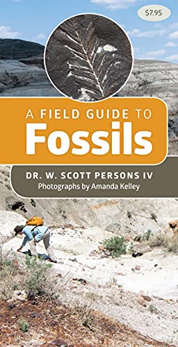 Beispielbild fr A Field Guide to Fossils (Sticker Books) zum Verkauf von Grand Eagle Retail
