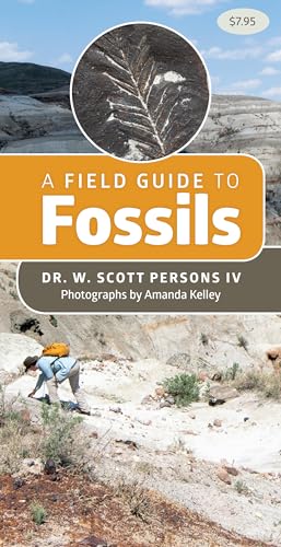 Stock image for A Field Guide to Fossils (Sticker Books) for sale by Grand Eagle Retail