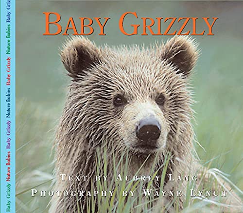 Beispielbild fr Baby Grizzly (Nature Babies) zum Verkauf von HPB-Emerald