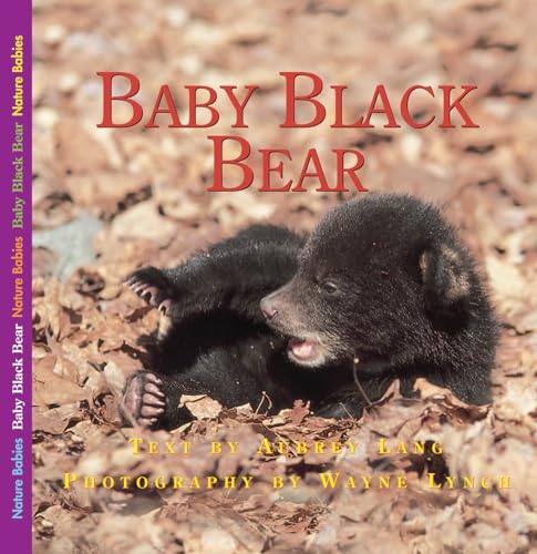 Stock image for The Adventures of Baby Bear (Nature Babies) for sale by More Than Words