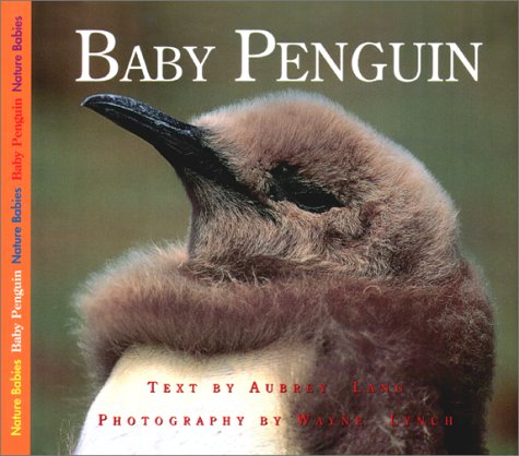 9781550416756: Baby Penguin